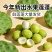海南新鲜水果嫩莲蓬基地直供大量上市供货中，原产地供应全国
