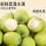 海南新鲜水果嫩莲蓬基地直供大量上市供货中，原产地供应全国