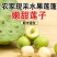 海南新鲜水果嫩莲蓬基地直供大量上市供货中，原产地供应全国