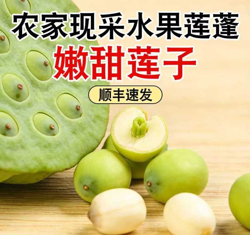 海南新鲜水果嫩莲蓬基地直供大量上市供货中，原产地供应全国