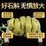 正宗霍山铁皮石斛条枫斗颗粒云南石斛正品中药材滋补批发零售