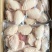 鸡翅中型号齐全！规格齐全鲜冻健康食材品质保障物流无忧
