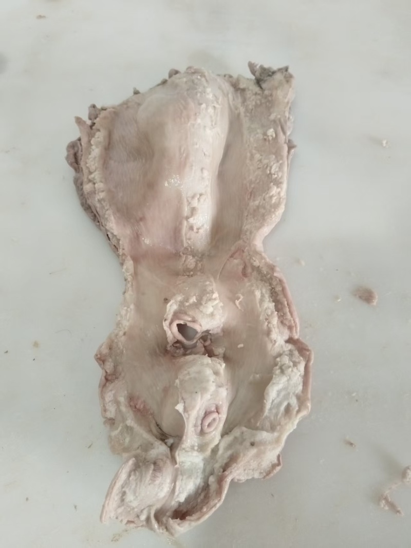 牛小肠包装9一斤