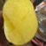 新鲜土豆黄瓤
