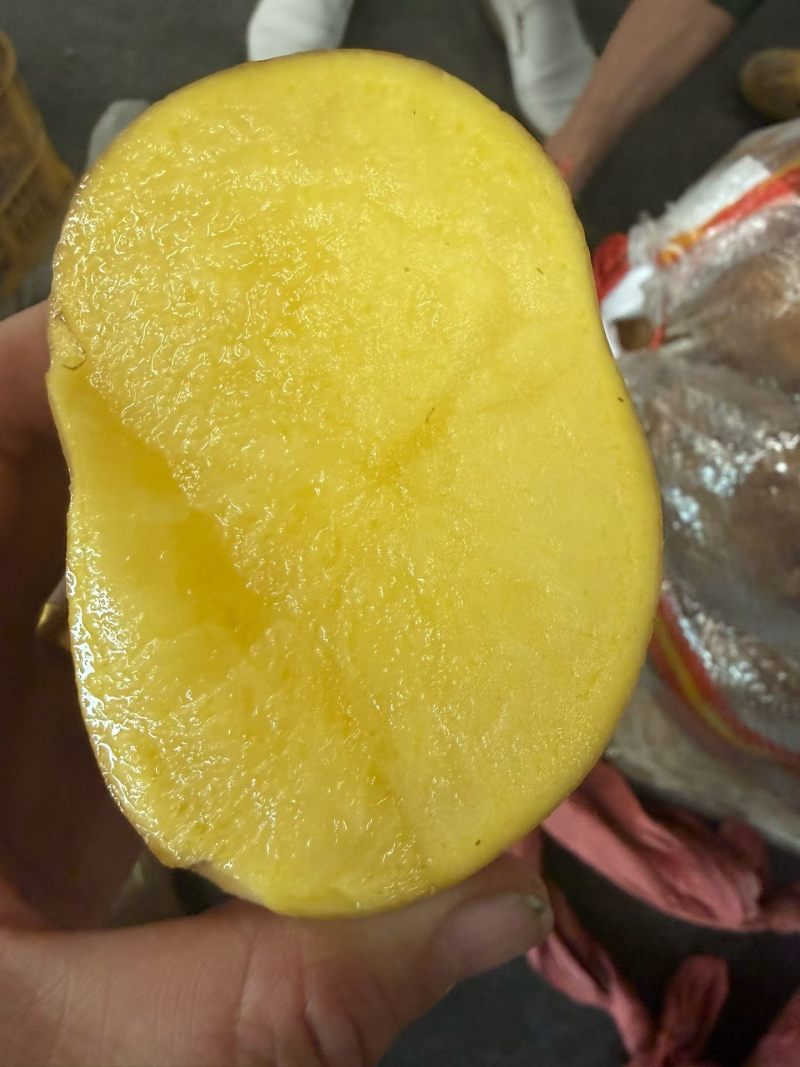新鲜土豆黄瓤