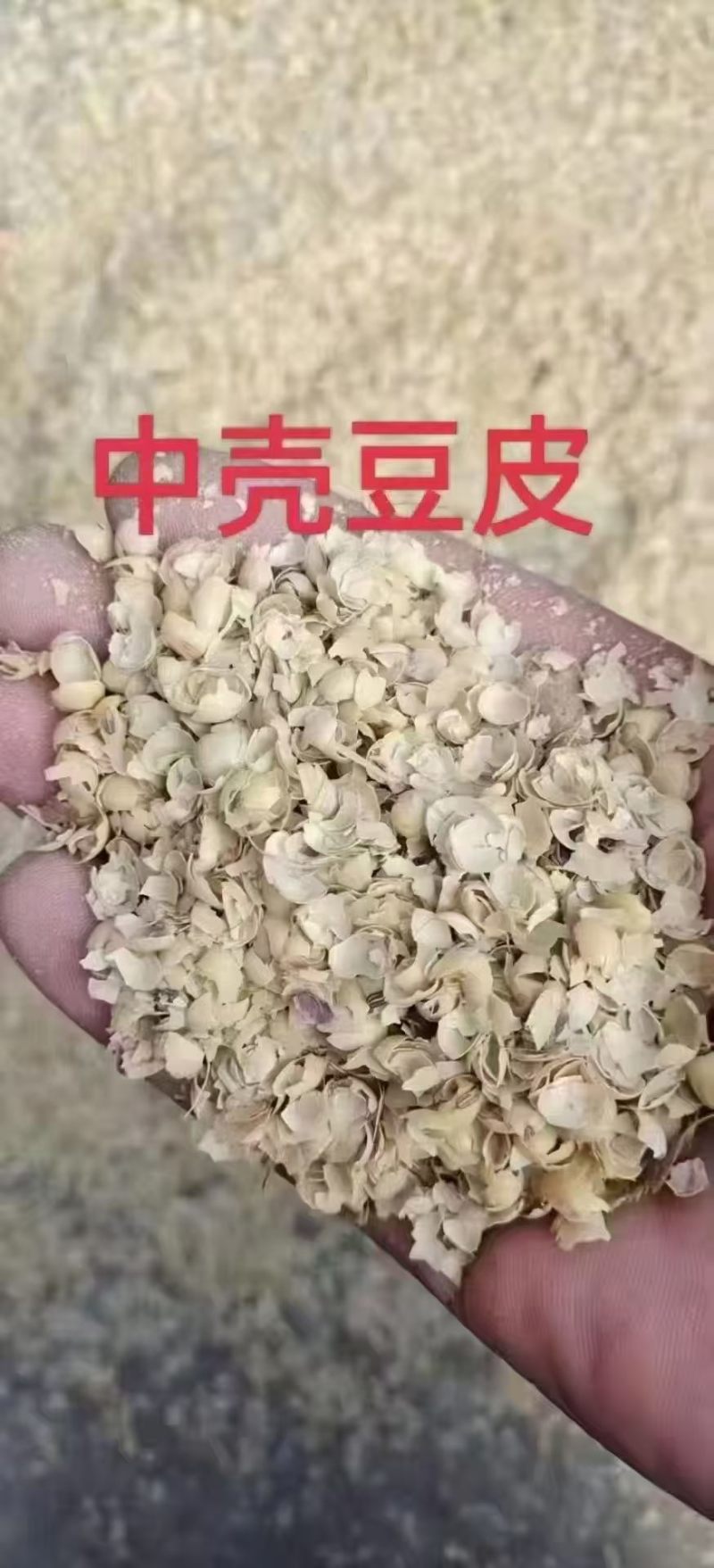 优惠出各大港口棕榈粕、葵粕、菜粕、豌豆、豆皮、豆破