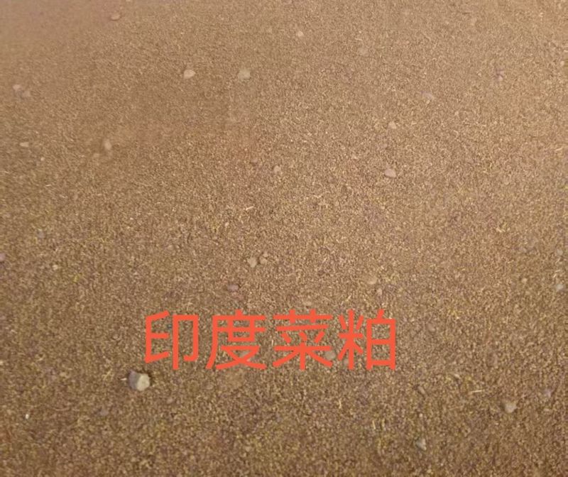 优惠出各大港口棕榈粕、葵粕、菜粕、豌豆、豆皮、豆破