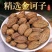 野生诃子诃子肉云南中药材正品柯子保质保量批发零售