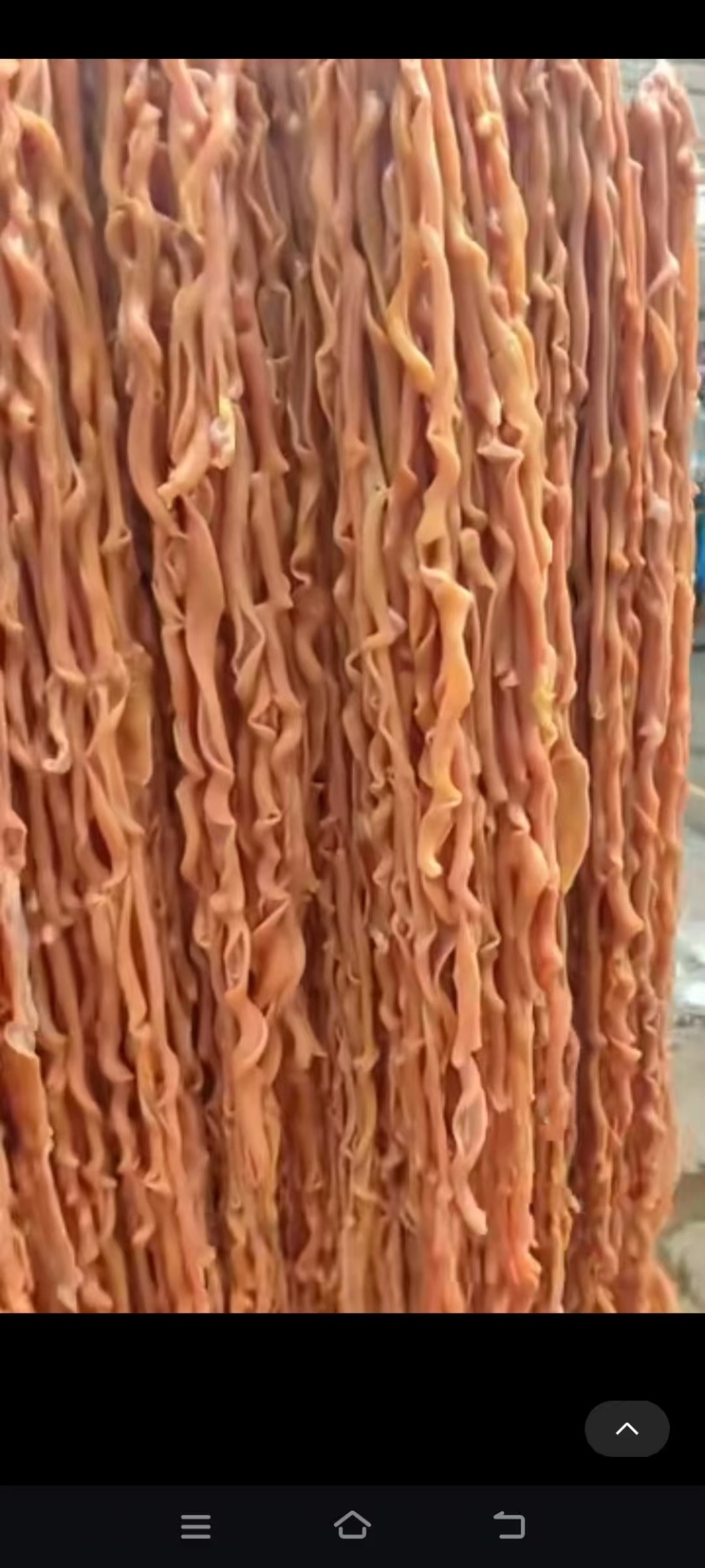 鸭肠