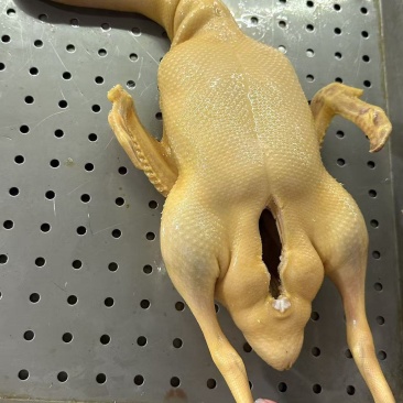 黄皮全鸭