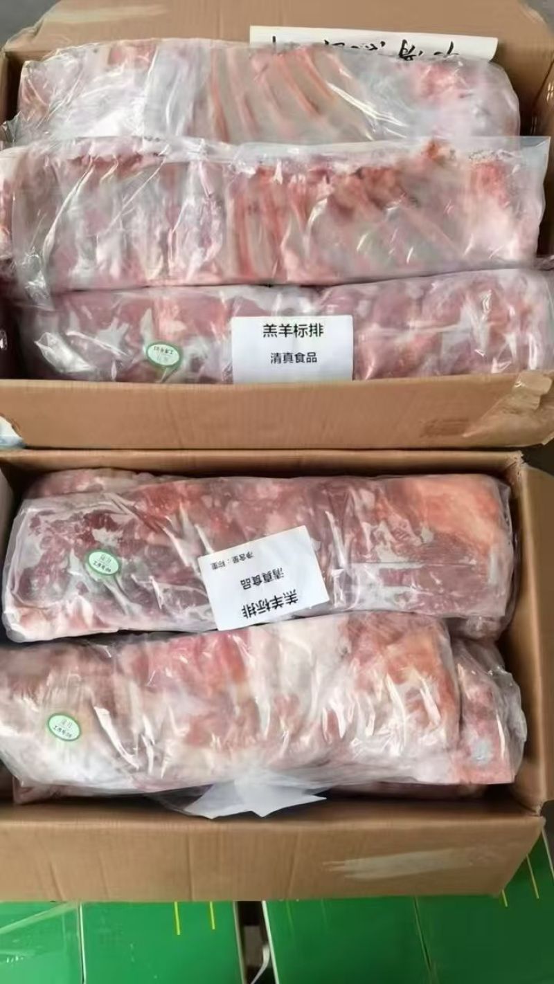 羔羊标排