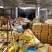 正品云南小黄姜一键代发产地代办量大从优欢迎来电