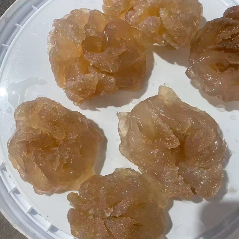 精品海蜇印尼头，大量供应，可视频看货，欢迎来电