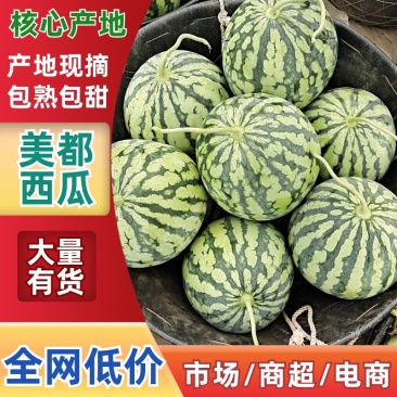 河南西瓜/美都西瓜/有籽美都/自家种植/欢迎采购商来电