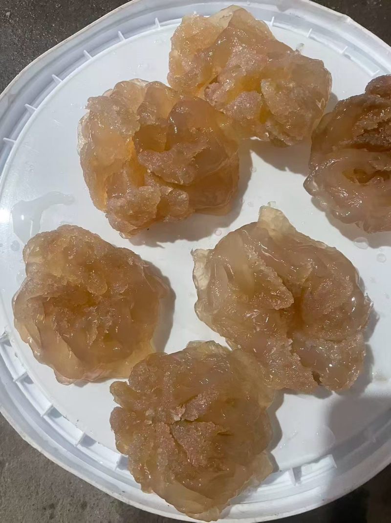 精品海蜇印尼头，大量供应，可视频看货，欢迎来电