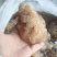 精品海蜇印尼头，大量供应，可视频看货，欢迎来电
