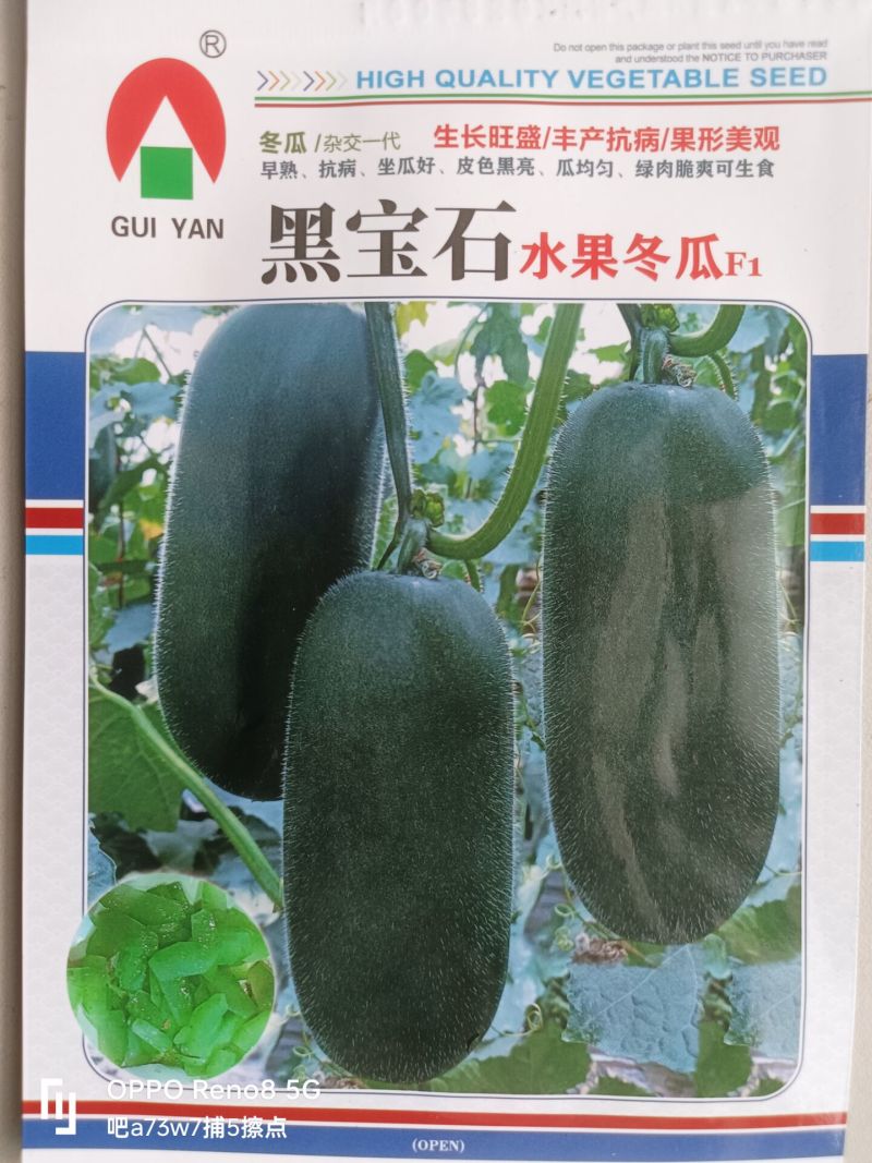 可以生食的迷你型冬瓜种子新品种绿肉脆爽果型优美