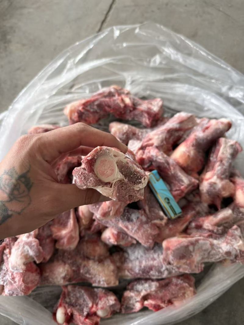 内蒙满肉羊后棒骨