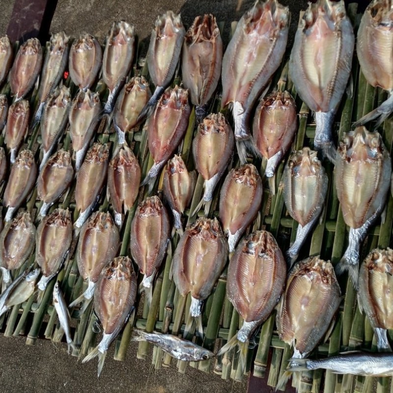 小河鱼（干鱼）