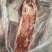 羊标排