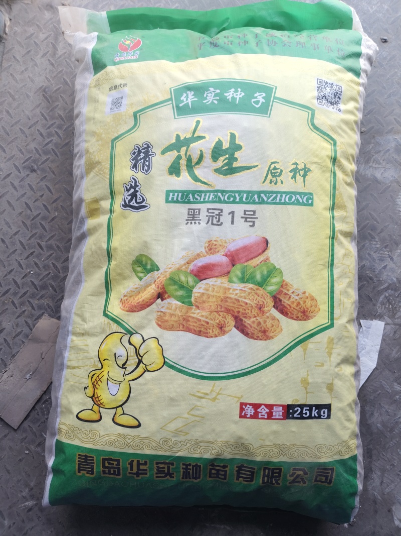 黑花生种子，大果手选花生种子，高产抗病质量好