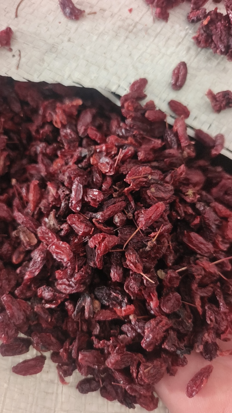 河南山茱萸批发