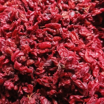 河南山茱萸批发