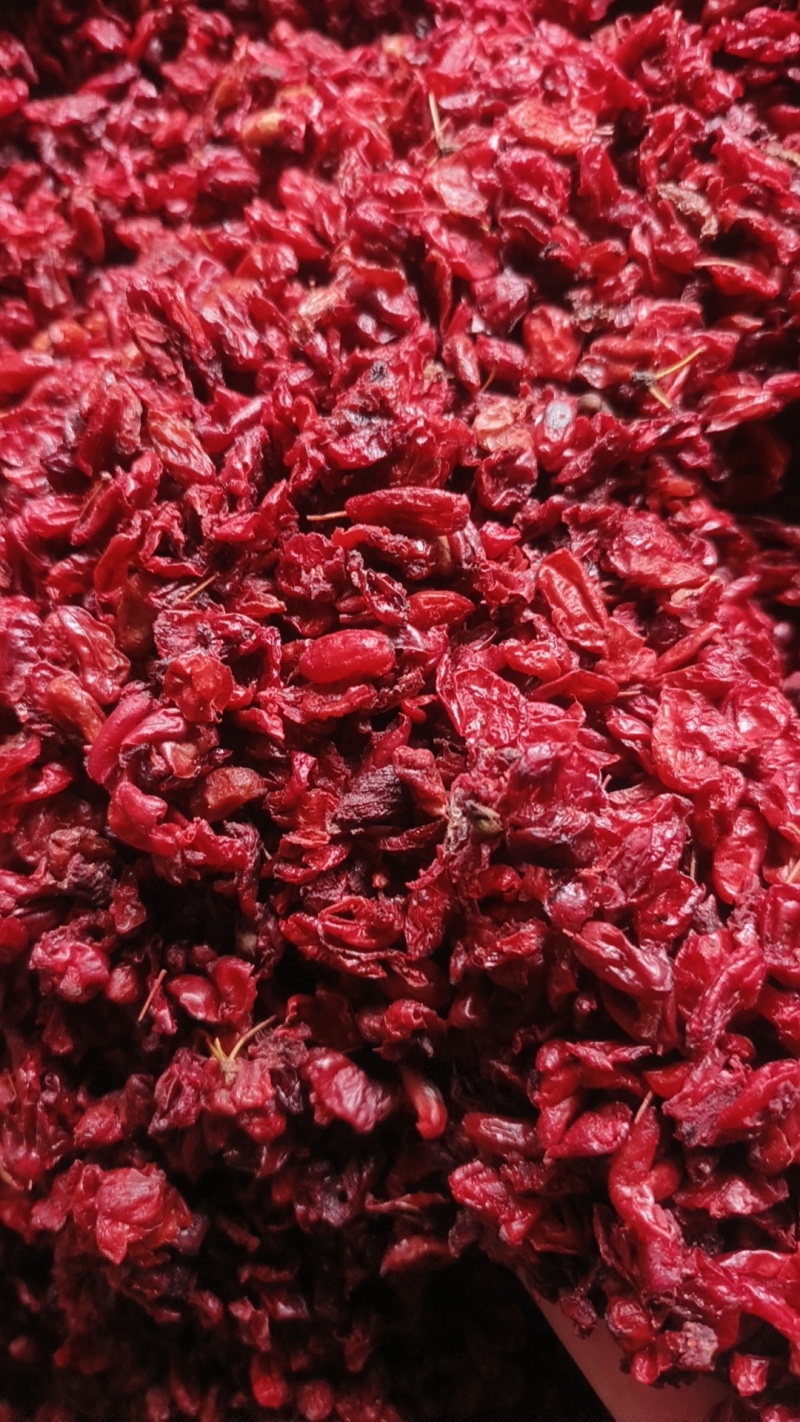 河南山茱萸批发