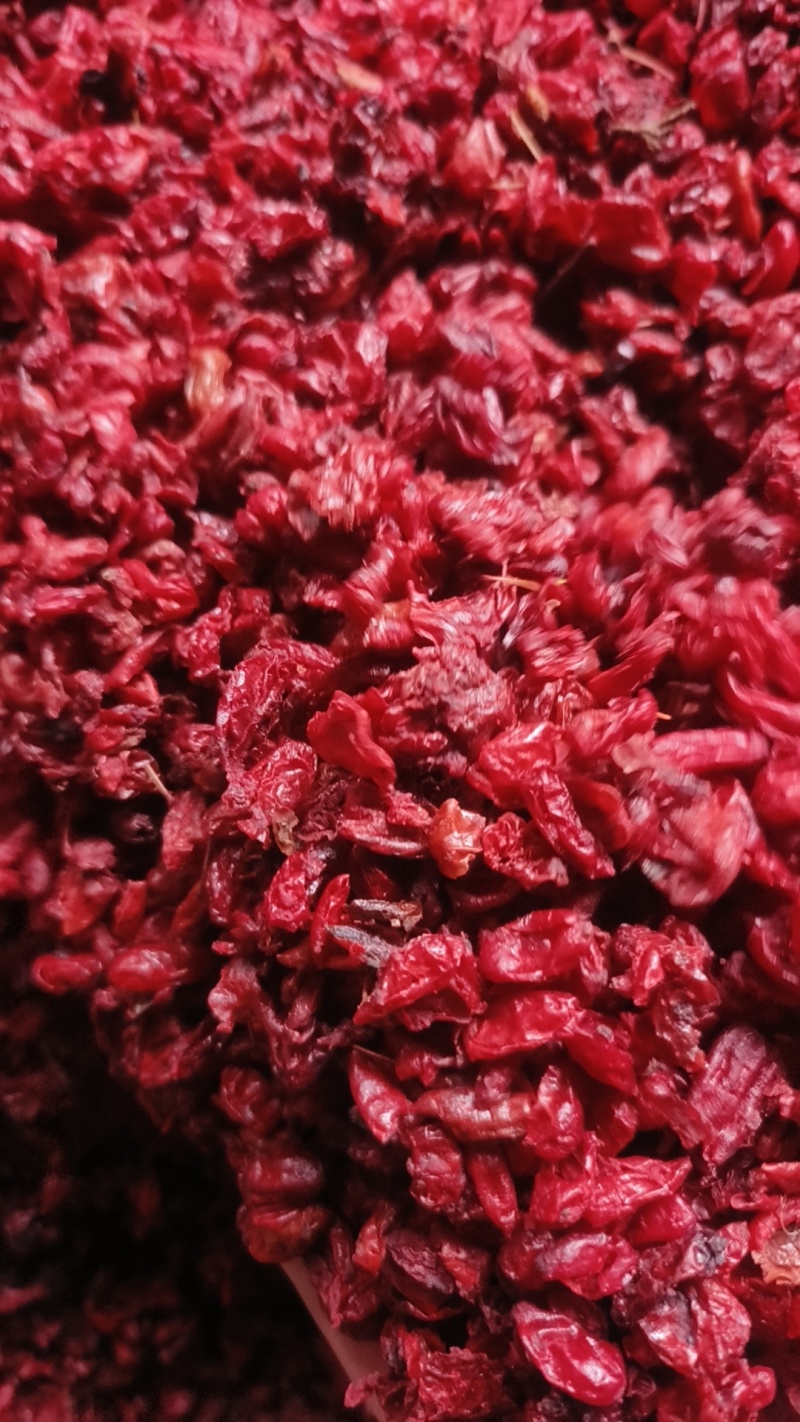 河南山茱萸批发