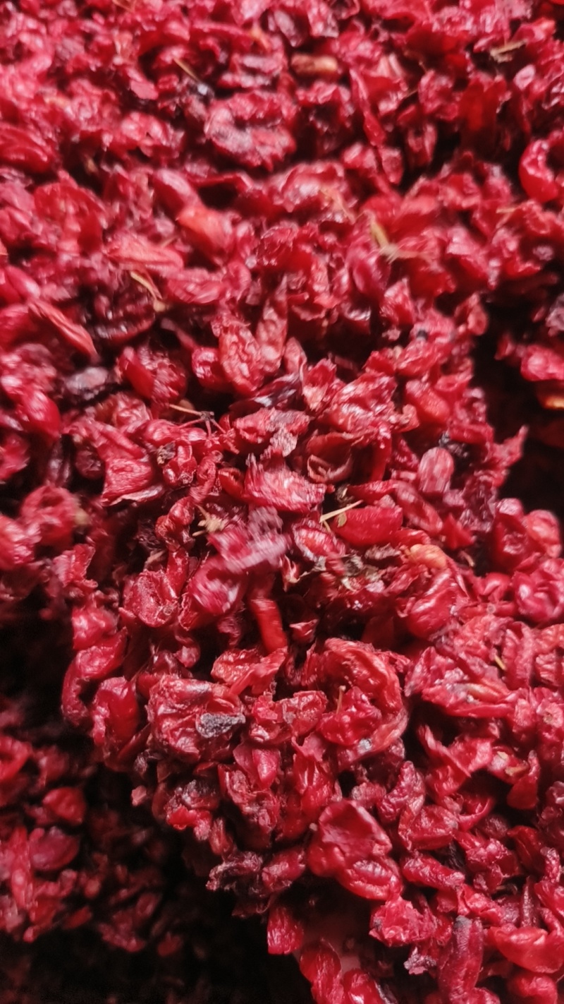 河南山茱萸批发
