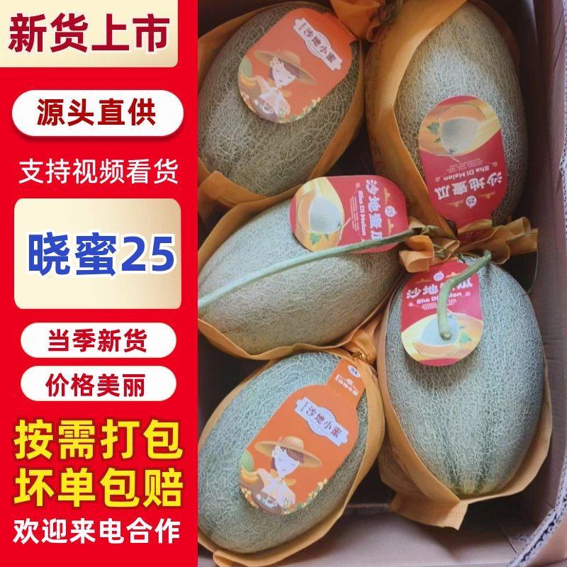 精品晓蜜25哈密瓜对接全国市场商超现摘先发小蜜25