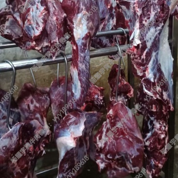 徐州黄公牛后腿肉，统货不分部位