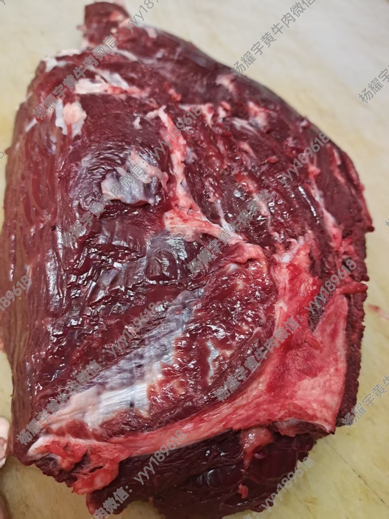 徐州黄公牛后腿肉，统货不分部位