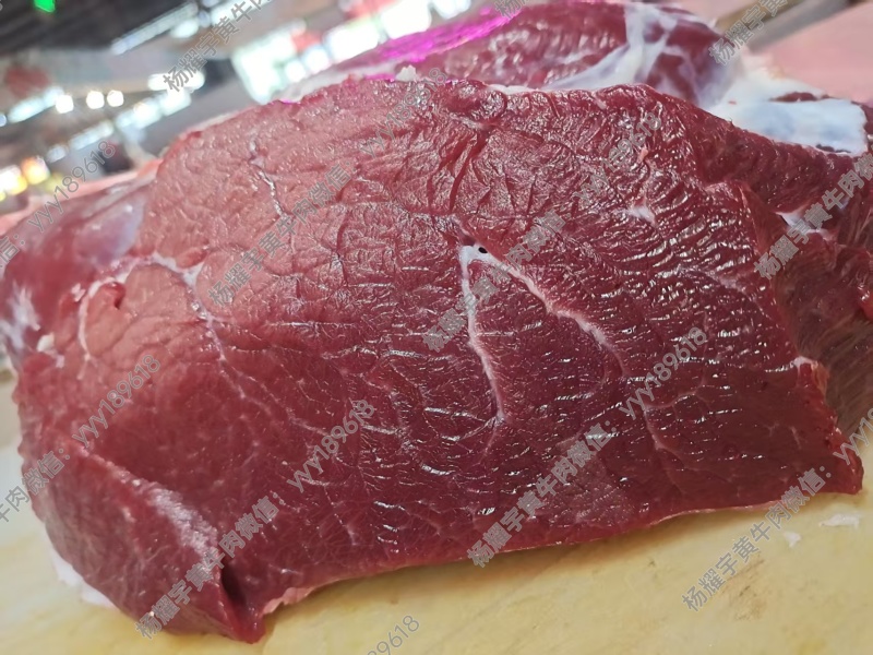 徐州黄公牛后腿肉，统货不分部位