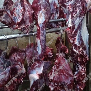 徐州睢宁黄公牛后腿肉