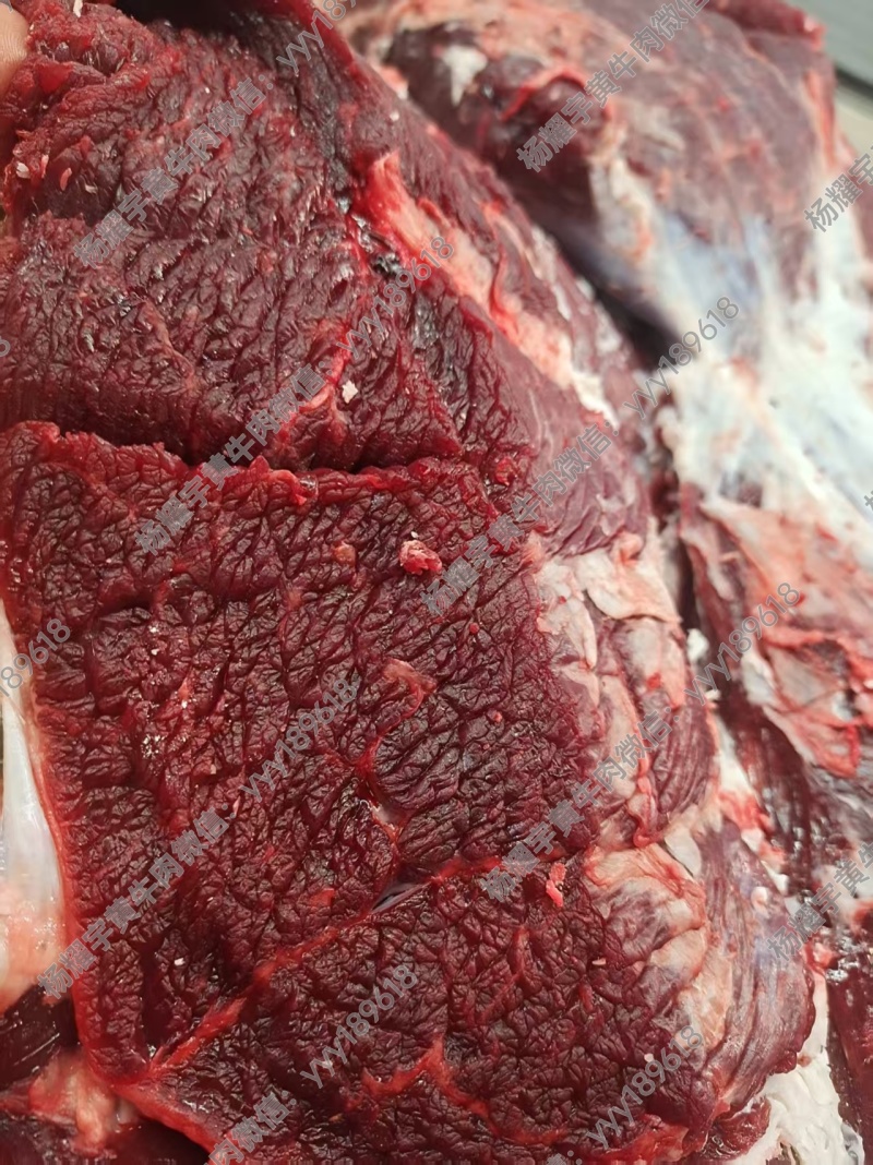 徐州睢宁黄公牛后腿肉