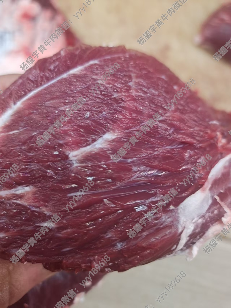徐州睢宁黄公牛后腿肉