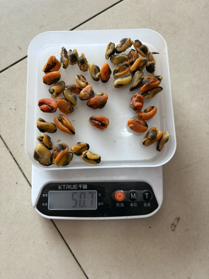 海虹干，淡菜干，干度好，个头大，做菜煲汤皆可
