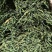 螃蟹脚茶野生螃蟹脚整根颜色绿无岁茶树螃蟹脚茶叶批发稳定供