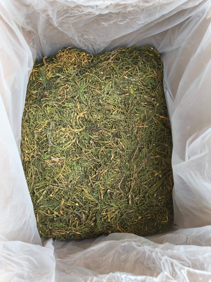 螃蟹脚茶野生螃蟹脚整根颜色绿无岁茶树螃蟹脚茶叶批发稳定供