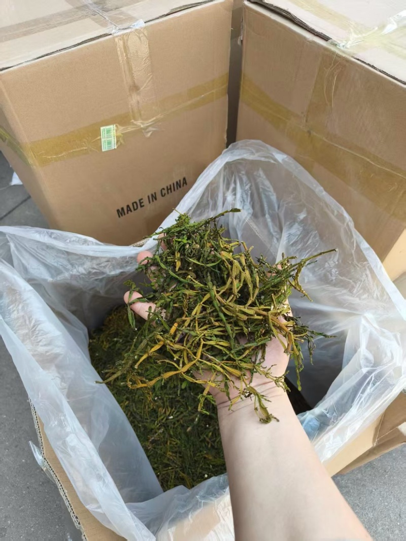 螃蟹脚茶野生螃蟹脚整根颜色绿无岁茶树螃蟹脚茶叶批发稳定供