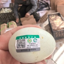 礼盒有机码