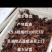 大量供应龙虾价格优惠