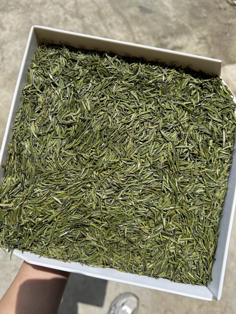 萃芽1800斤
