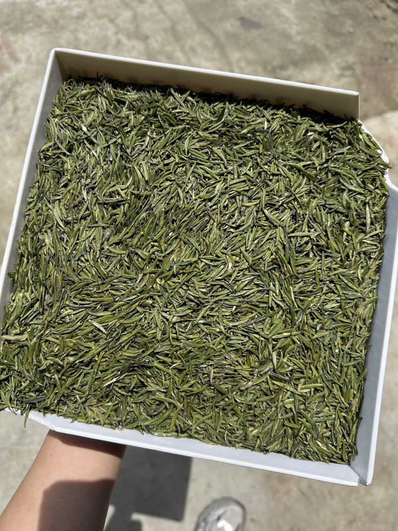 萃芽1800斤