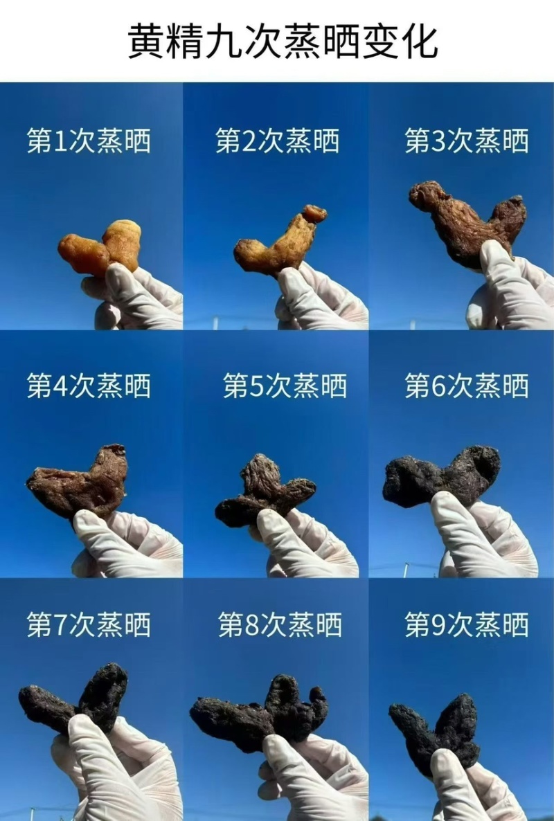 九蒸九晒黄精古法工艺个大饱满肉多品质保证