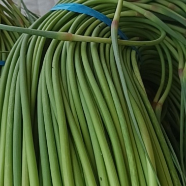 蒜苔红帽蒜薹