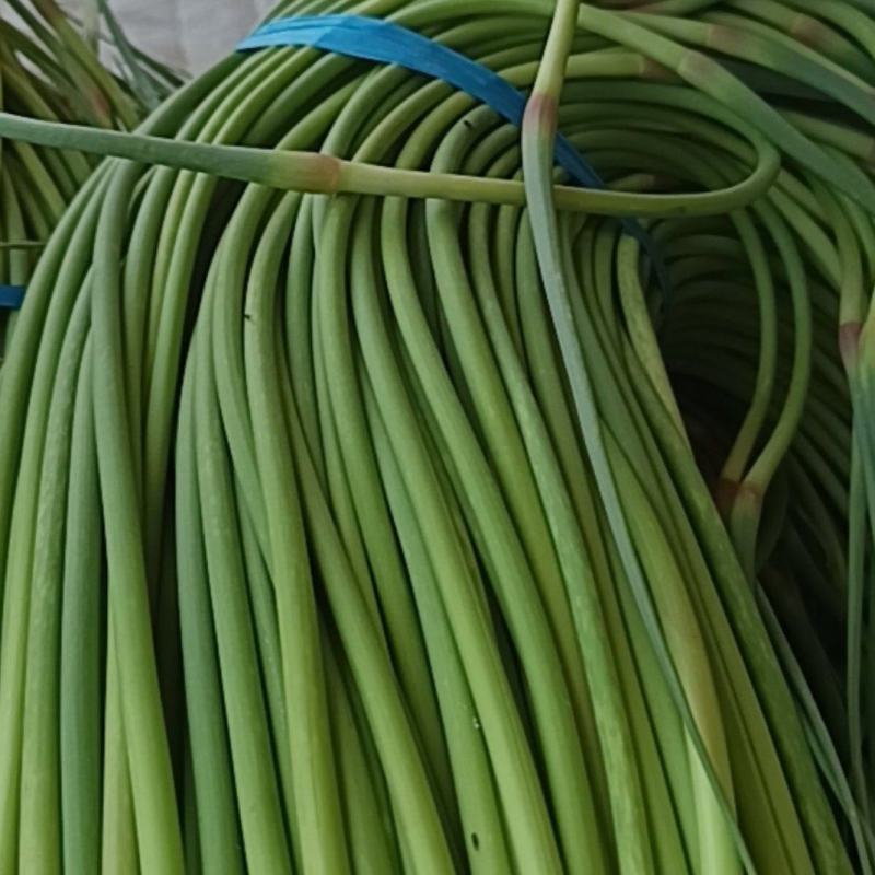 蒜苔红帽蒜薹