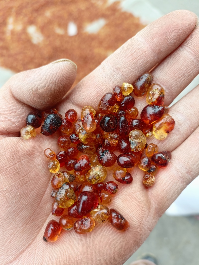 甜品奶茶**桃胶珍珠中小精品颗粒一手货源充足品质优