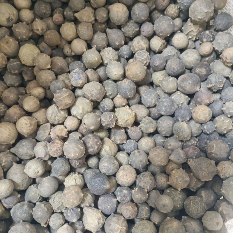 没食子墨石子muza无食子没石子宝辉多肉无硫止痒去皮煲汤
